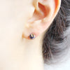 Blueberry Cute Fruits Studs Earrings