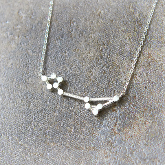 Pisces Zodiac Sign Necklace in sterling silver