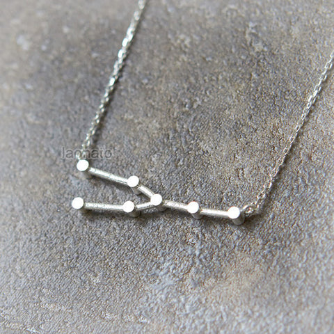 Leo Zodiac Sign Necklace in sterling silver