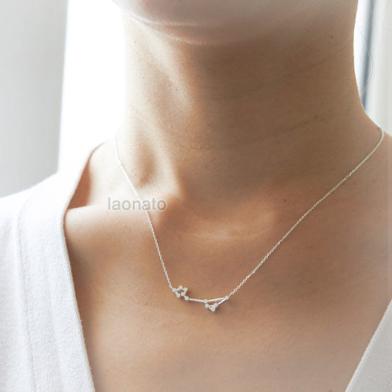 Pisces Zodiac Sign Necklace in sterling silver