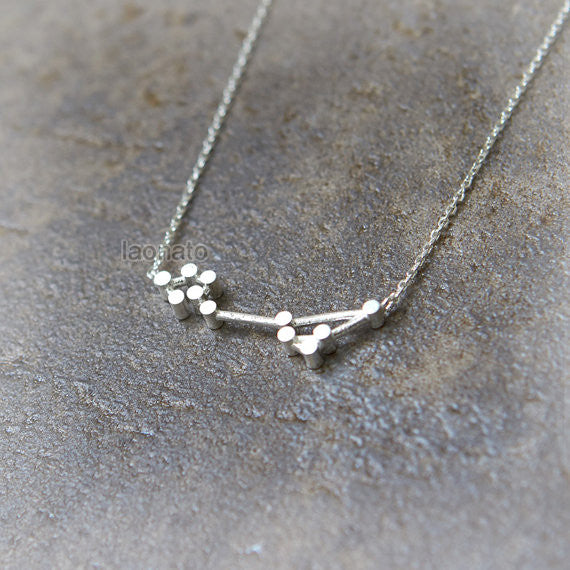 Pisces Zodiac Sign Necklace in sterling silver